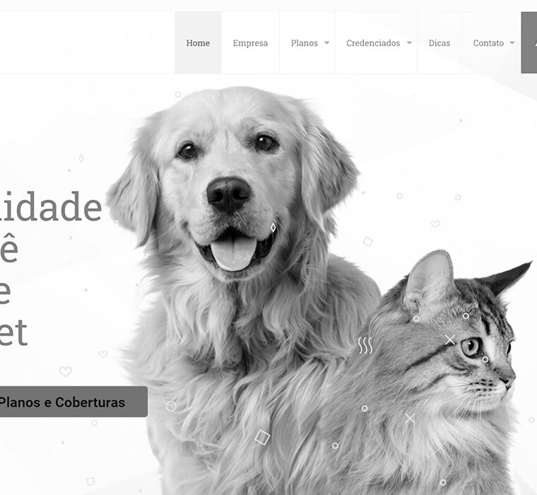 RAO Marketing Digital - VetMed Website